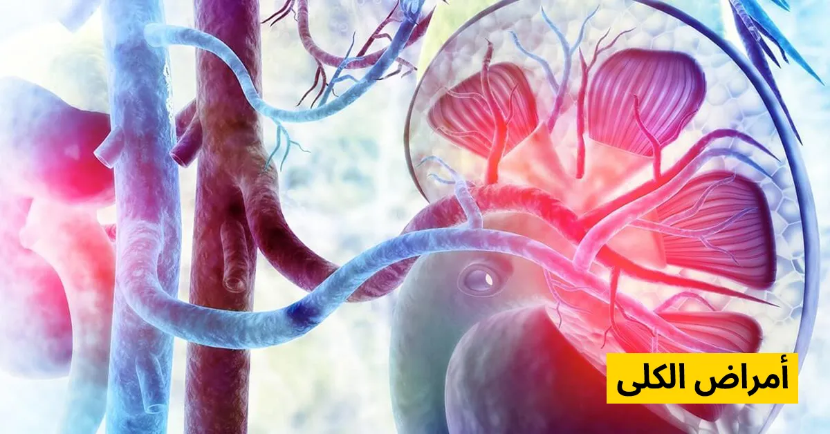 أمراض الكلى